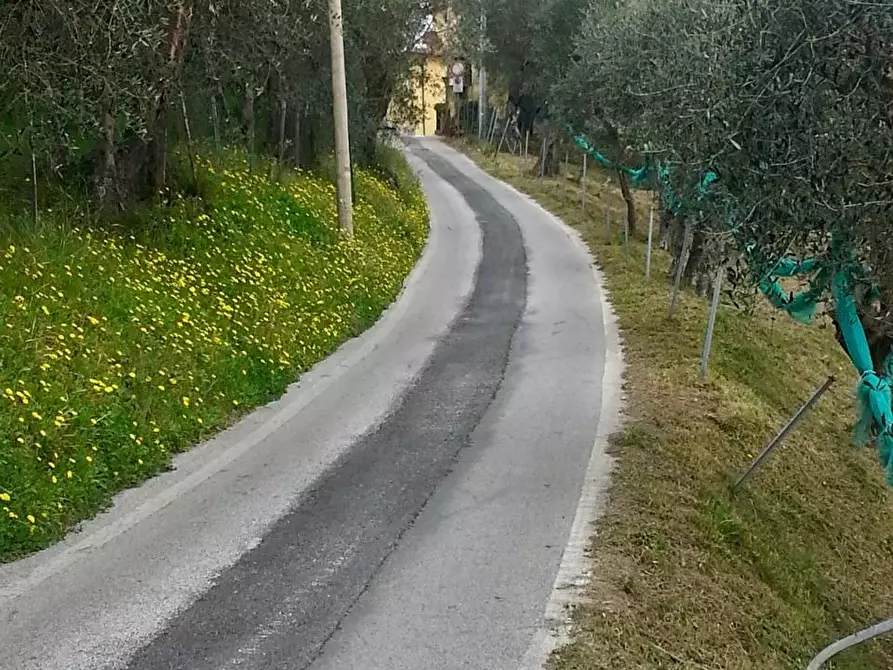 Immagine 36 di Villa in vendita  a Massarosa