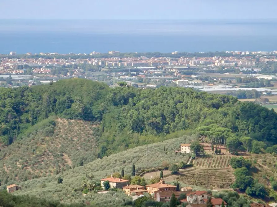 Immagine 7 di Villa in vendita  a Massarosa