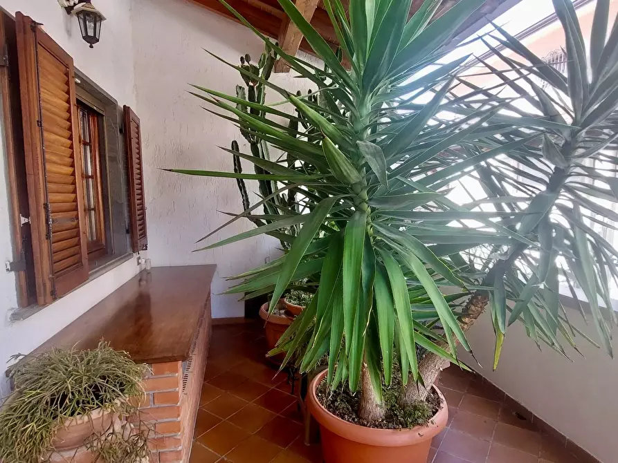 Immagine 36 di Casa bifamiliare in vendita  a Massarosa