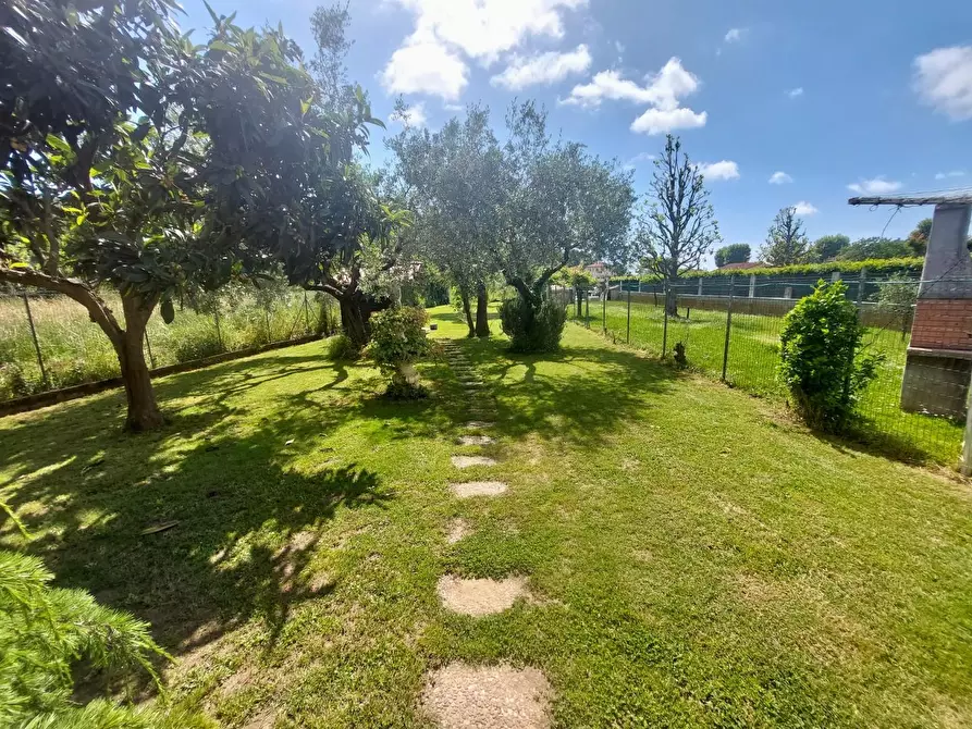 Immagine 34 di Casa bifamiliare in vendita  a Massarosa