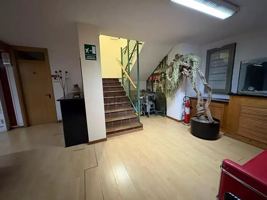 Immagine 15 di Palazzo in vendita  a Viareggio