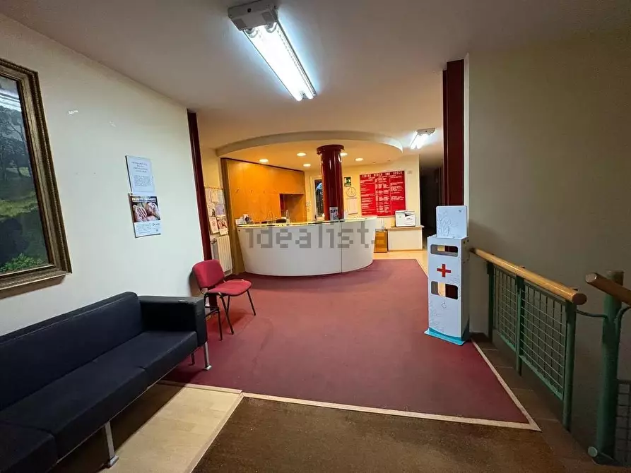 Immagine 1 di Palazzo in vendita  a Viareggio