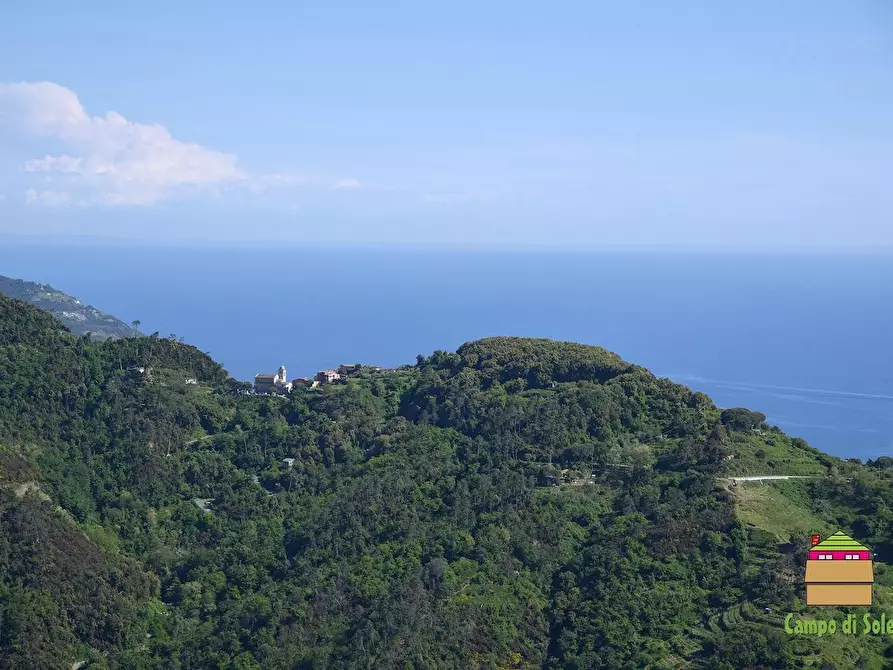 Immagine 2 di Casa semindipendente in vendita  a Vernazza