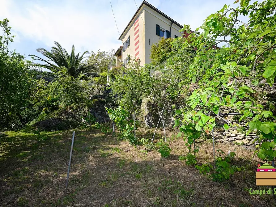 Immagine 15 di Casa semindipendente in vendita  a Vernazza