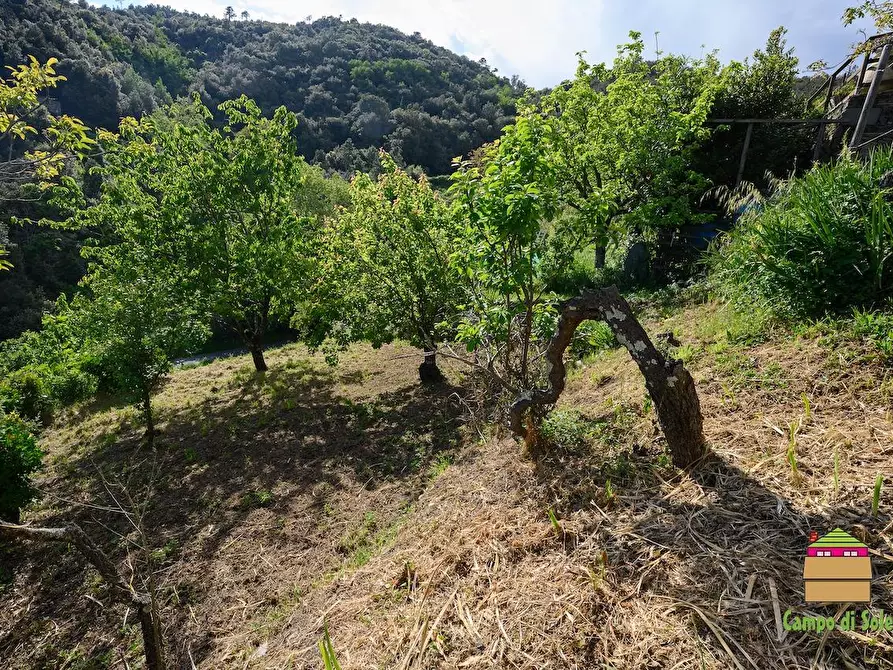 Immagine 17 di Casa semindipendente in vendita  a Vernazza