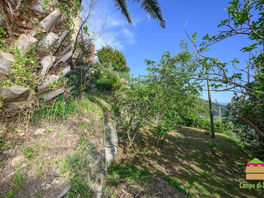 Immagine 16 di Casa semindipendente in vendita  a Vernazza