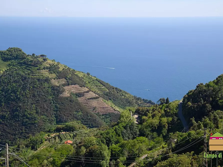 Immagine 1 di Casa semindipendente in vendita  a Vernazza
