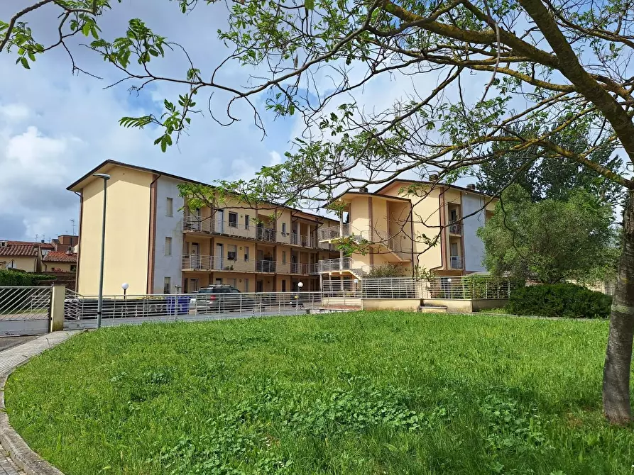 Immagine 13 di Appartamento in vendita  a Pisa