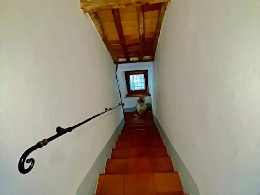 Immagine 22 di Terratetto in vendita  a Buggiano