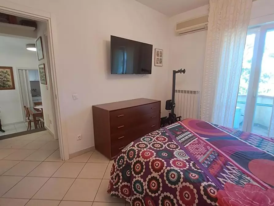 Immagine 19 di Appartamento in vendita  a Pisa