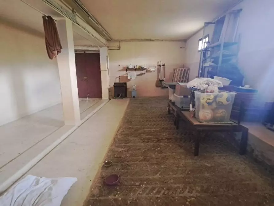 Immagine 48 di Casa colonica in vendita  a Pontedera