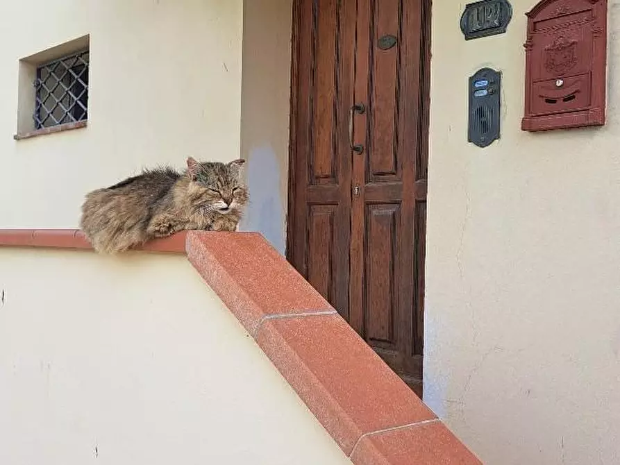 Immagine 13 di Casa colonica in vendita  a Pontedera