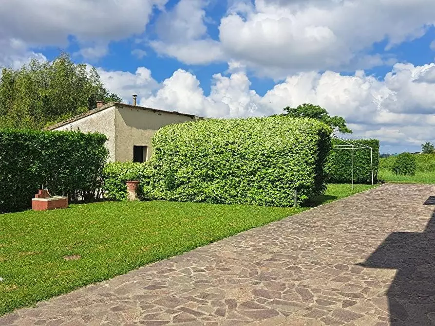 Immagine 55 di Casa colonica in vendita  a Pontedera