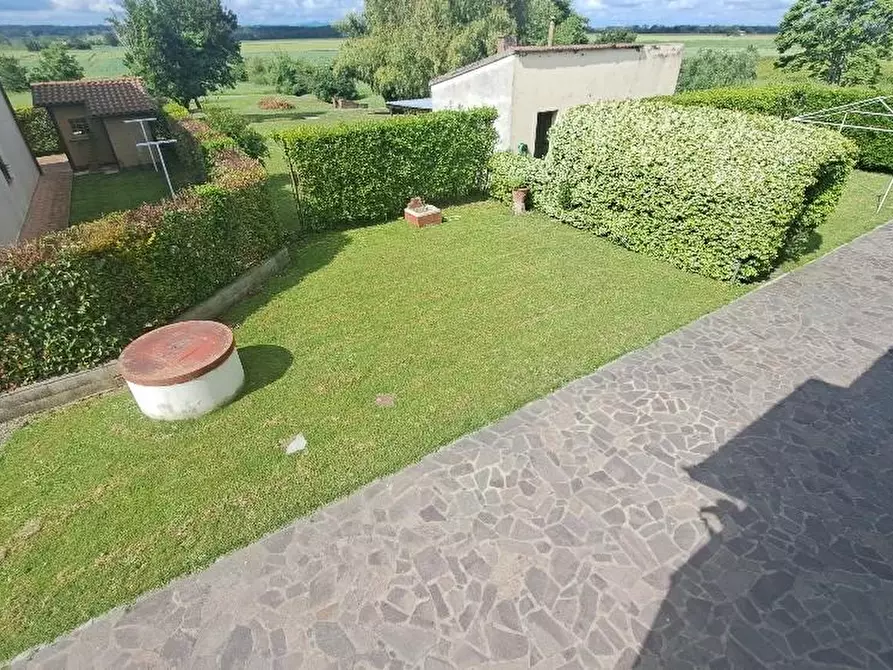 Immagine 6 di Casa colonica in vendita  a Pontedera