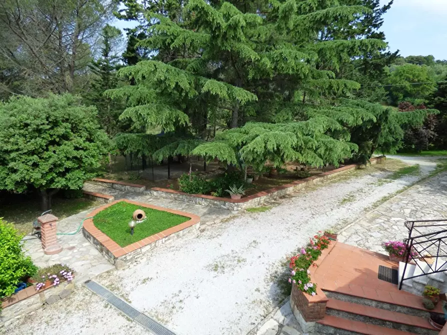 Immagine 3 di Casa indipendente in vendita  a Campiglia Marittima