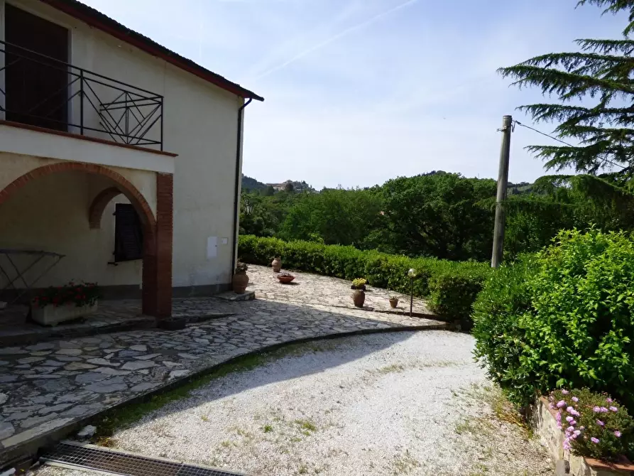 Immagine 7 di Casa indipendente in vendita  a Campiglia Marittima