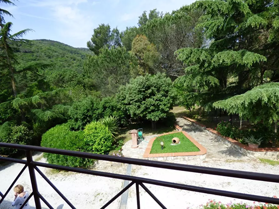 casa indipendente in vendita a Campiglia Marittima