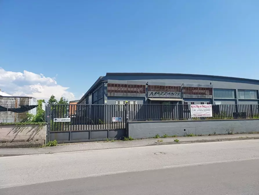 Immagine 2 di Capannone industriale in vendita  a Pontedera