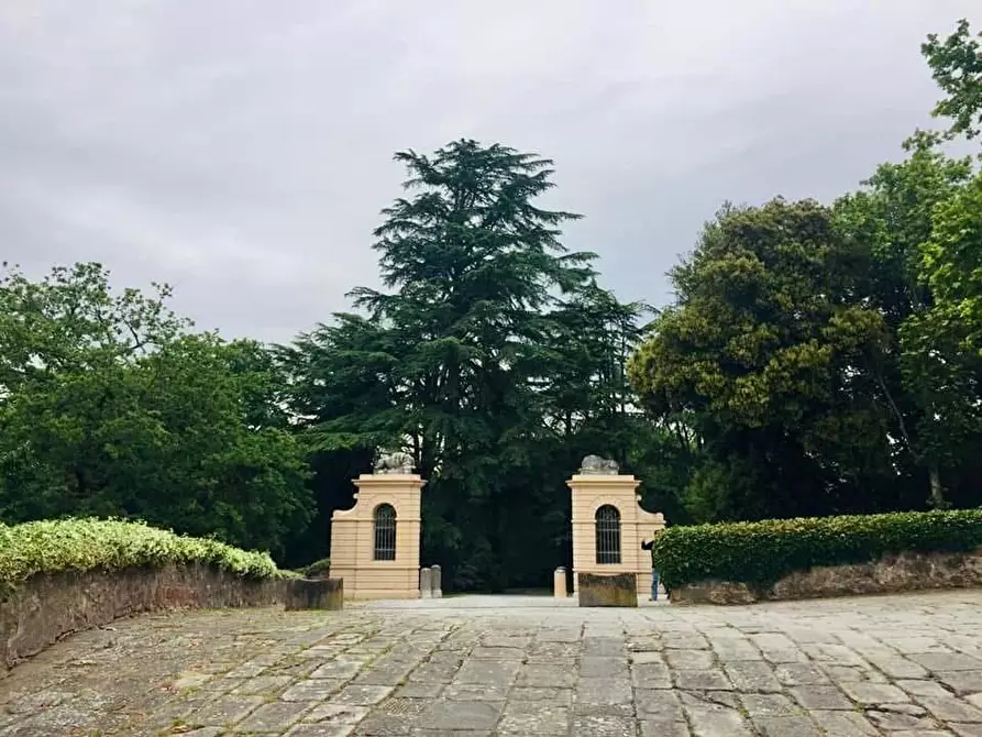 Immagine 2 di Appartamento in vendita  a Calcinaia