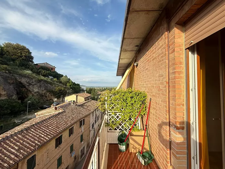 Immagine 11 di Appartamento in vendita  a Sovicille