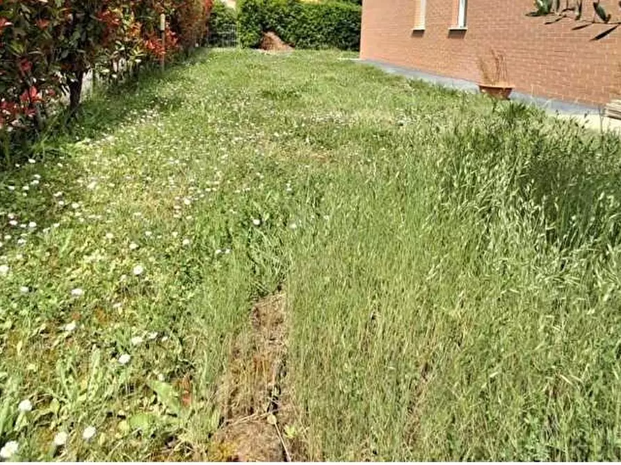 Immagine 26 di Appartamento in vendita  a Lucca