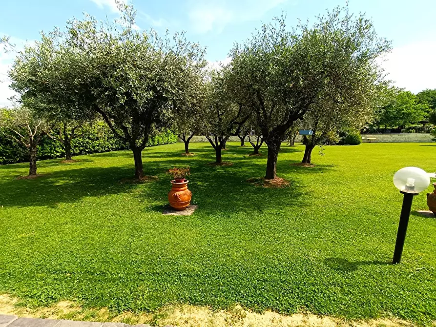 Immagine 6 di Villa in vendita  a Massa