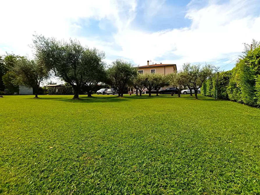 Immagine 5 di Villa in vendita  a Massa