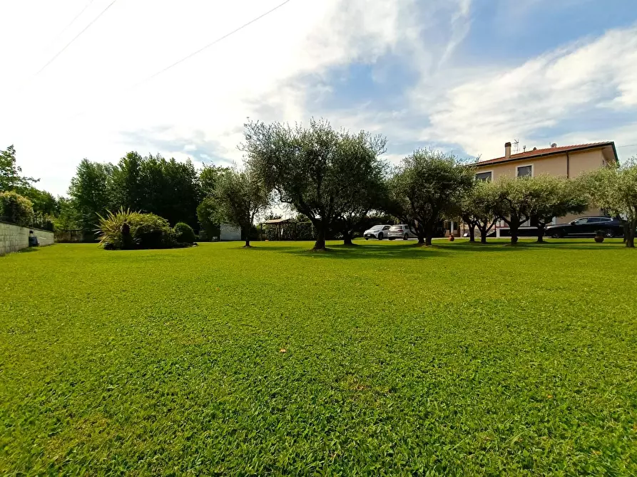 Immagine 4 di Villa in vendita  a Massa