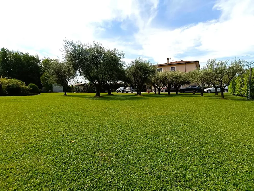 Immagine 3 di Villa in vendita  a Massa
