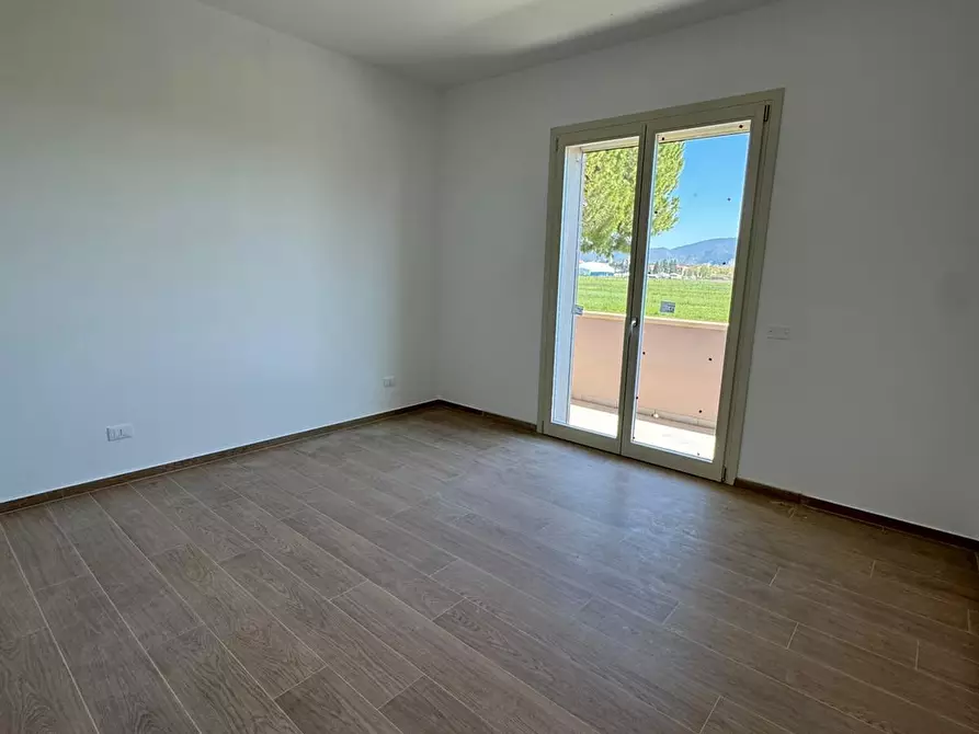 Immagine 17 di Casa bifamiliare in vendita  a Pisa