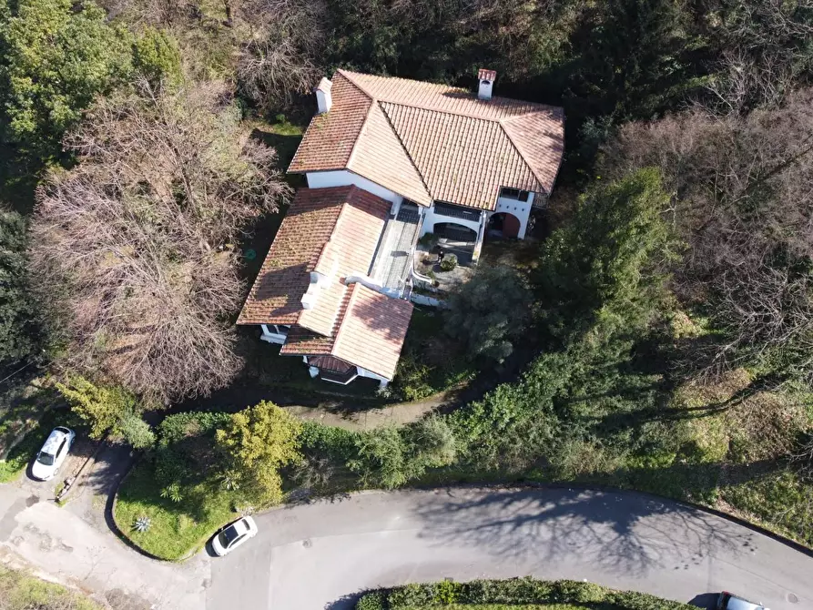 Immagine 47 di Villa in vendita  a Massa