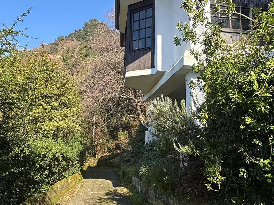 Immagine 45 di Villa in vendita  a Massa