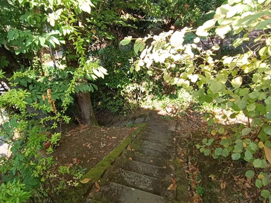 Immagine 36 di Villa in vendita  a Massa