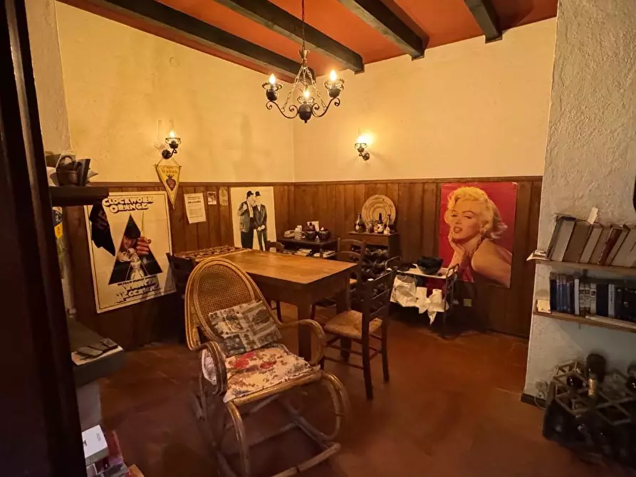 Immagine 21 di Villa in vendita  a Massa