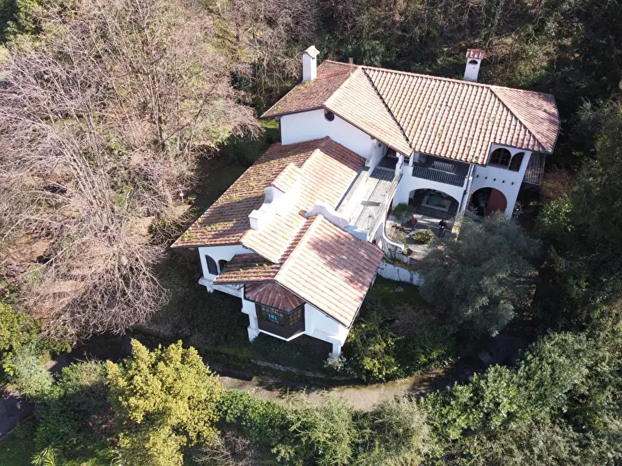 Immagine 46 di Villa in vendita  a Massa