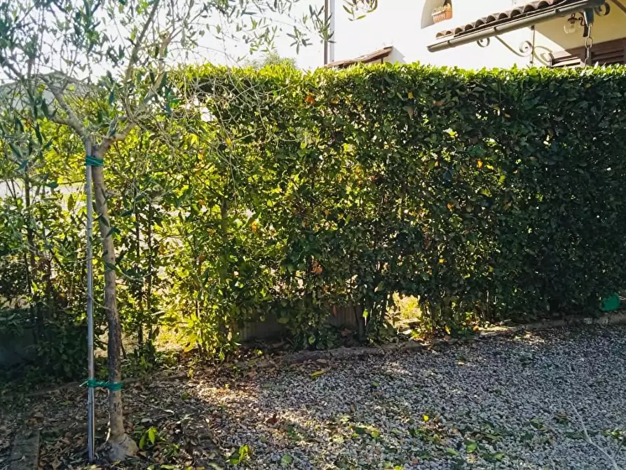 Immagine 12 di Loft/Open space in vendita  a Pontedera