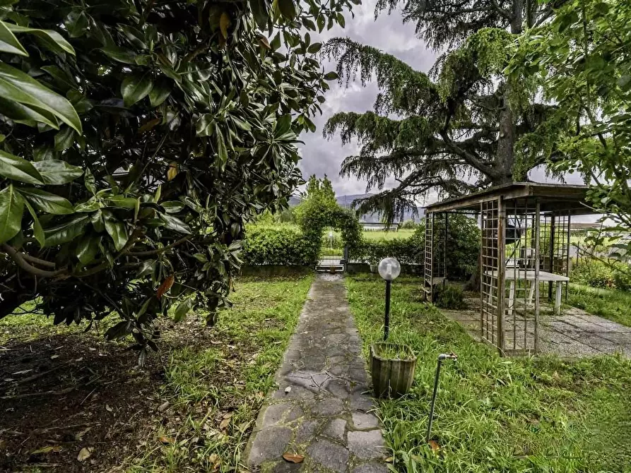 Immagine 4 di Villa in vendita  a San Giuliano Terme