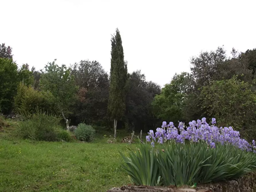 Immagine 15 di Porzione di casa in vendita  a Monteriggioni