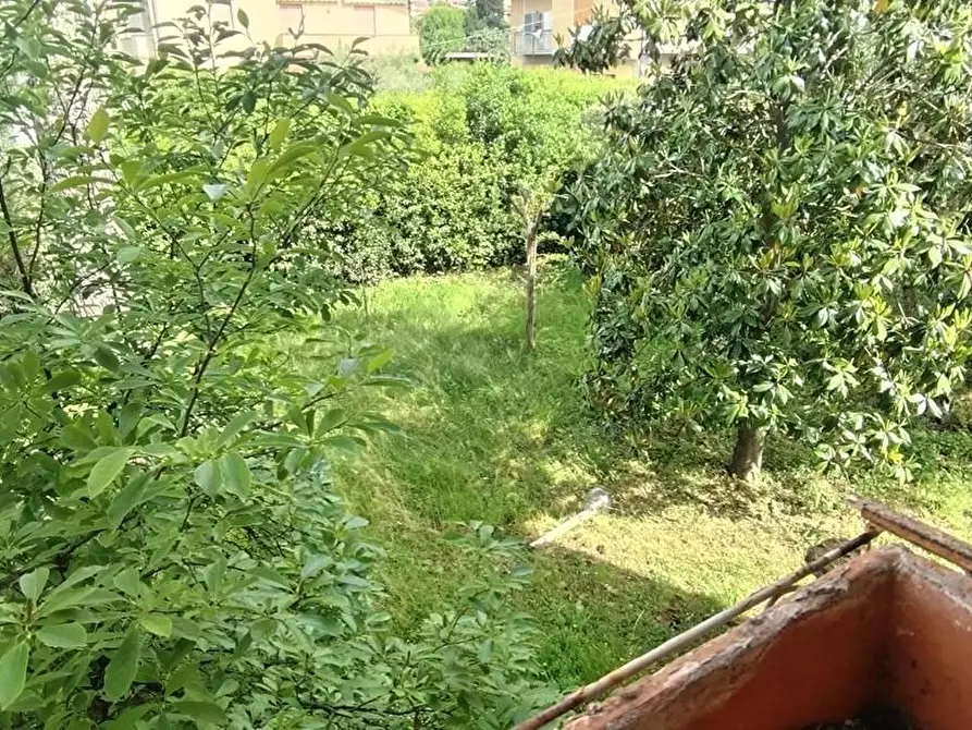 Immagine 2 di Casa indipendente in vendita  a Massa