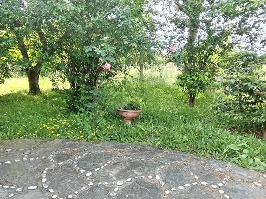 Immagine 5 di Casa indipendente in vendita  a Massa