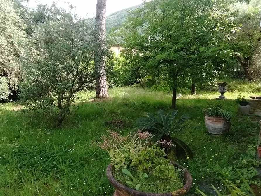 Immagine 6 di Casa indipendente in vendita  a Massa