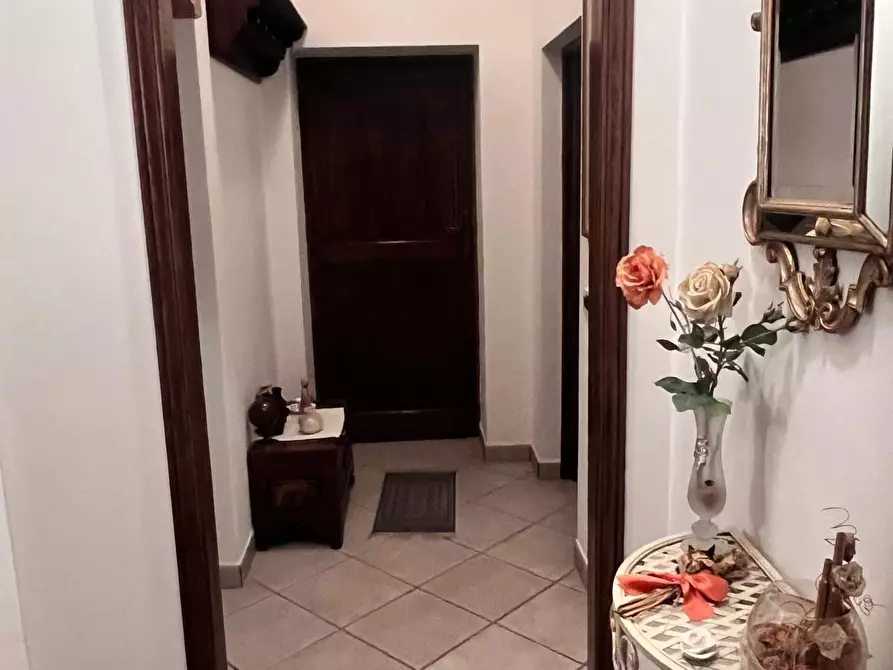 Immagine 14 di Appartamento in vendita  a Bibbona