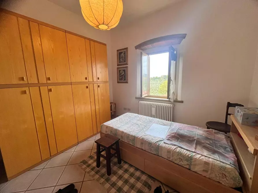 Immagine 28 di Appartamento in vendita  a Bibbona