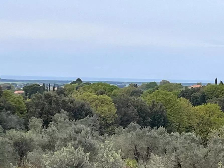 Immagine 16 di Appartamento in vendita  a Bibbona