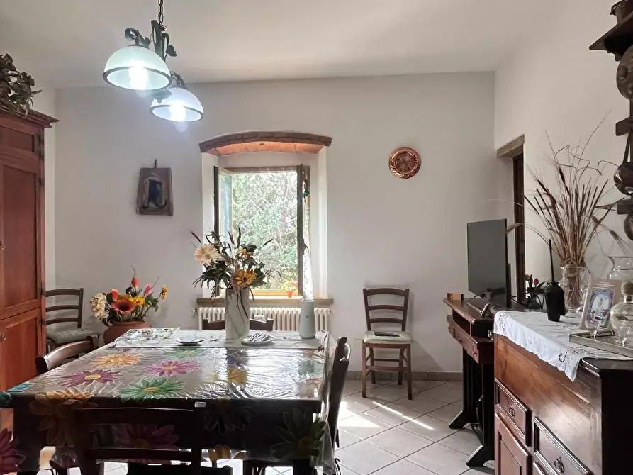 Immagine 9 di Appartamento in vendita  a Bibbona