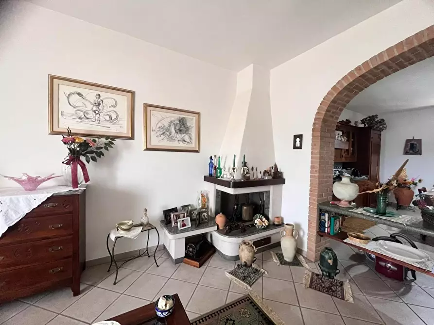 Immagine 4 di Appartamento in vendita  a Bibbona