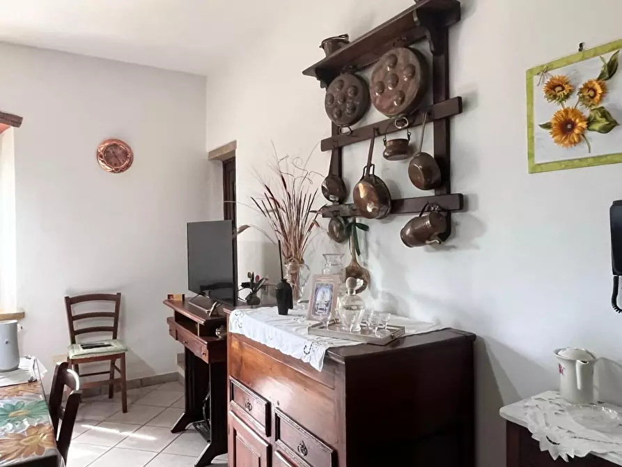 Immagine 12 di Appartamento in vendita  a Bibbona