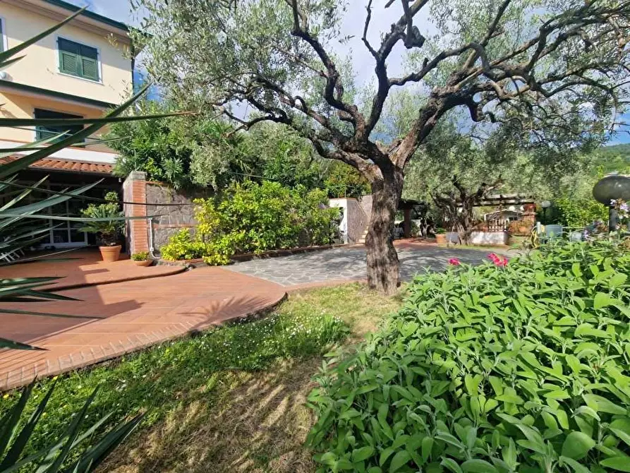 Immagine 3 di Villetta a schiera in vendita  a Carrara