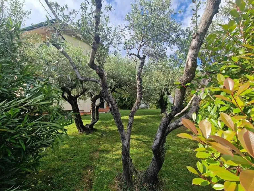 Immagine 30 di Villetta a schiera in vendita  a Carrara