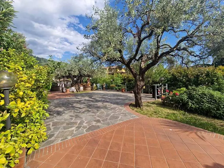 Immagine 38 di Villetta a schiera in vendita  a Carrara